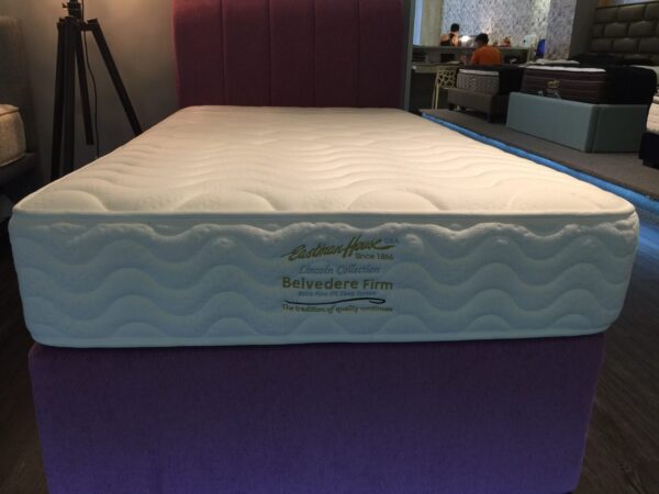 Eastman House Belvedere Firm 10'' Plush Top Individual Pocketed Spring Mattress