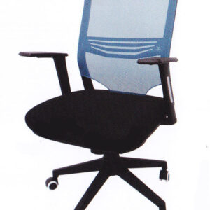 Low Back Blue Mesh Black Office Chair