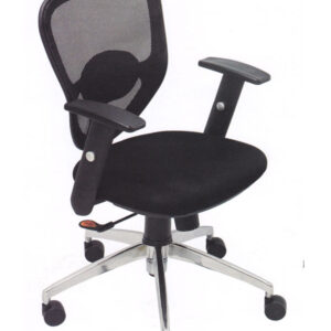 A Low Back Office Chair (Black)