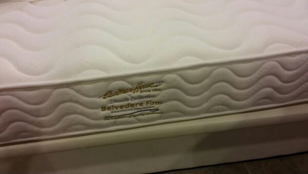 Eastman House Belvedere Firm 10'' Plush Top Individual Pocketed Spring Mattress