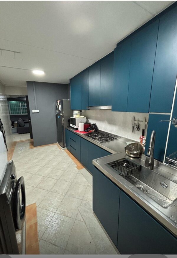 Coloured Door Modular Stainless Steel Kitchen Cabinet | Living Solution