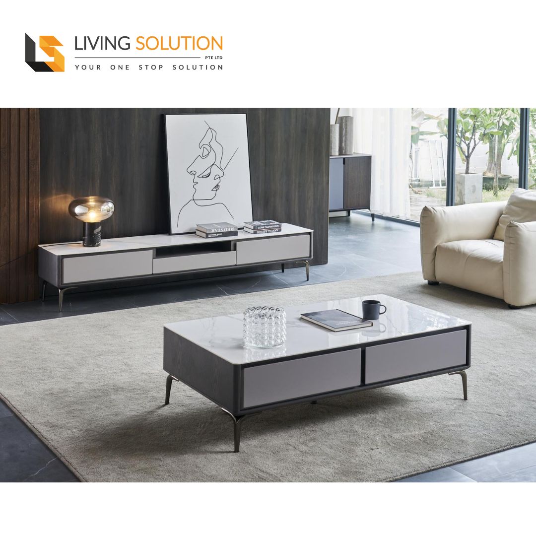 Eva Sintered Stone Top Storage Coffee Table Modern TV Console